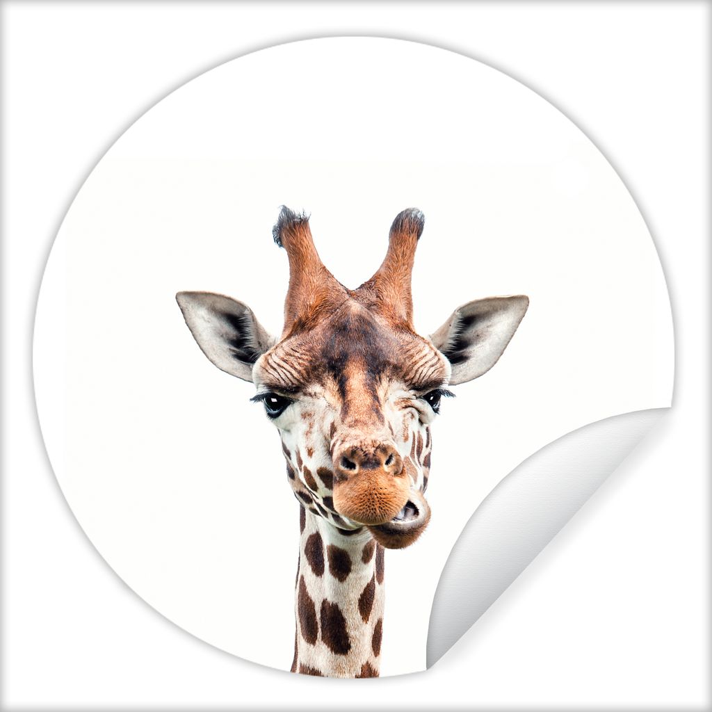 MuchoWow Runde Wandtattoo - Wandsticker Tapete Aufkleber Wildtiere - Giraffe - Kinder - Tiere Ø 100 cm Selbstklebend und Repositionierbar - Wand...