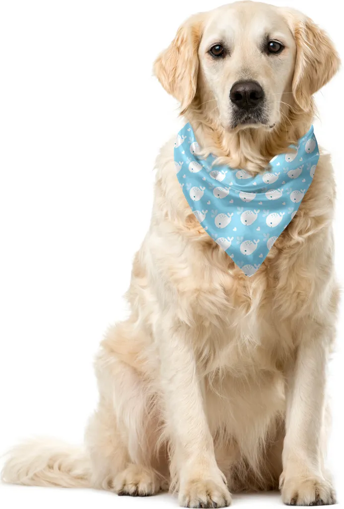 Bandana Cani Lavabile ABAKUHAUS Wal 55x55 cm - Azzurro Pallido Resistente
