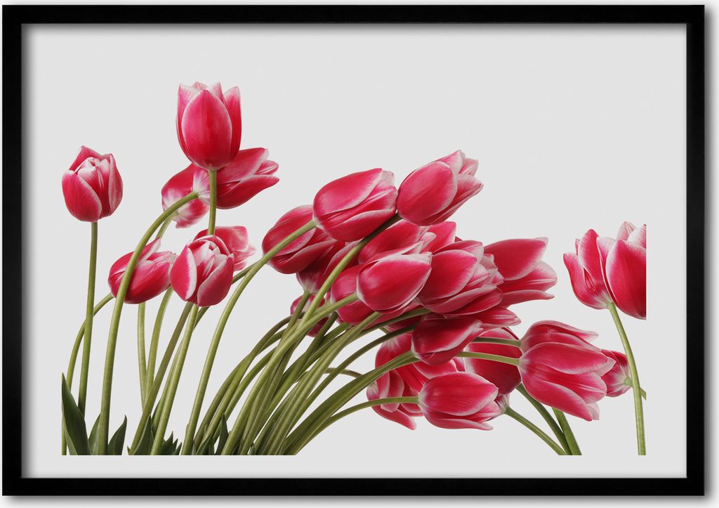 Bild - Bilder - Bilderrahmen - 70 cm x 50 cm - MDF-Rahmen, Produktbild 