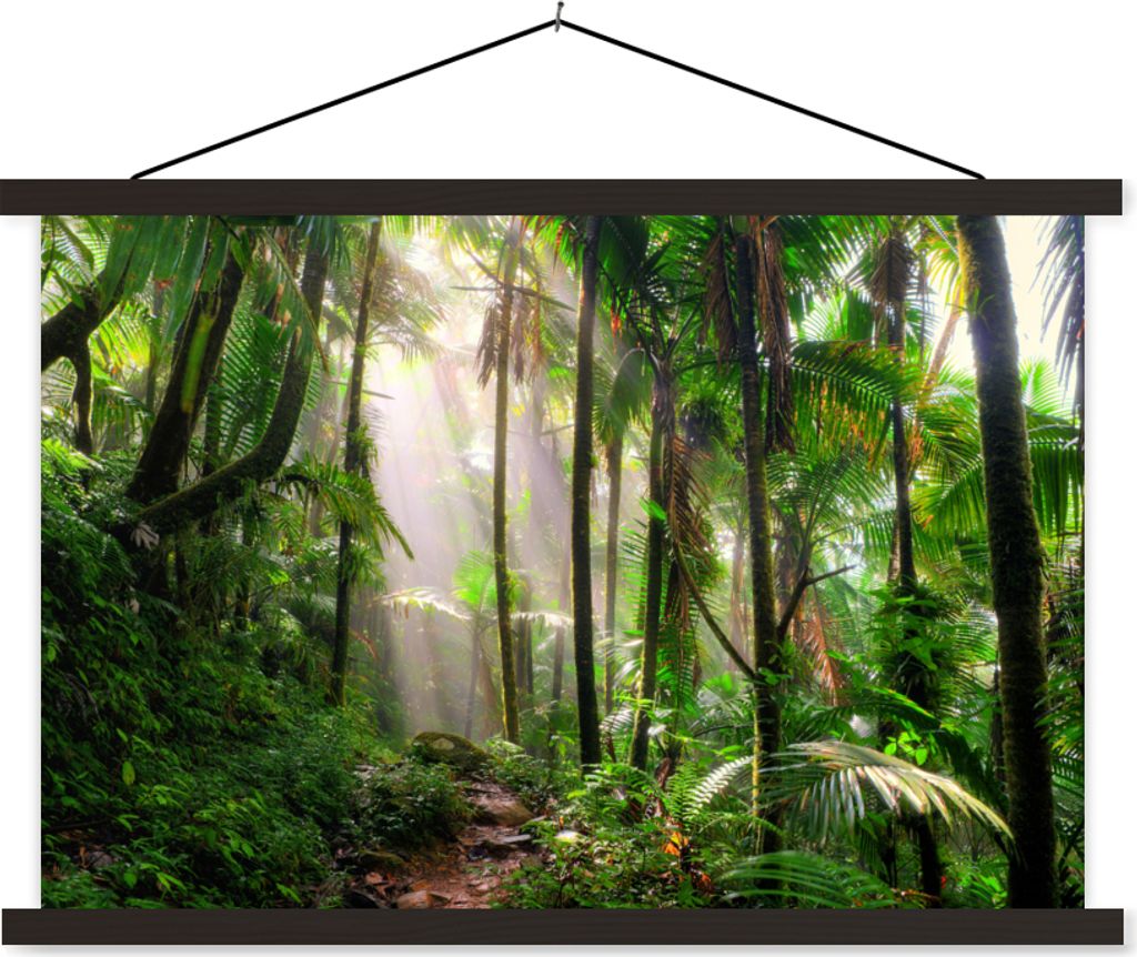 MuchoWow Textilposter Dschungel - Park - Puerto Rico 150x100 cm mit schwarzem Rahmen - Schlafzimmer