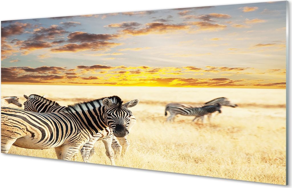 Glasbilder 120x60 Wandkunst Zebras Feld Sonnenuntergang