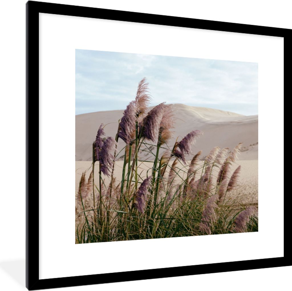 MuchoWow Gerahmtes Poster Pampasgras - Sand - Pflanzen - Düne 40x40 cm - Poster mit Schwarzem Bilderrahmen Wandposter Rahmen Foto Bilder - Poste...