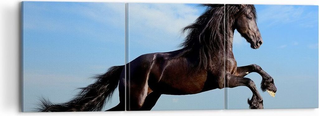 Bild auf Leinwand - Leinwandbild - Schwarzes Pferd Pferd Galopp - 120x40cm - Wand Bild - Wanddeko - Leinwanddruck - Bilder - Kunstdruck - Wanddekor...