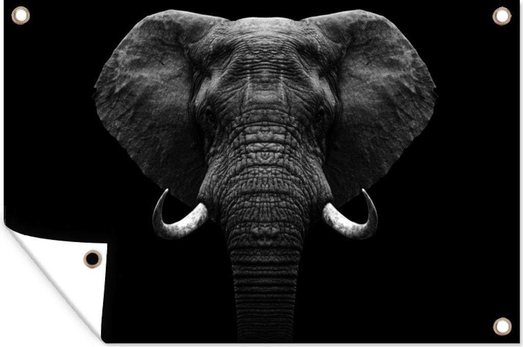 MuchoWow 60x40 cm Outdoor-Poster Gartendeko Sichtschutz Garten Poster für den Garten Tiere - Elefant - Porträt - Schwarz - Weiß