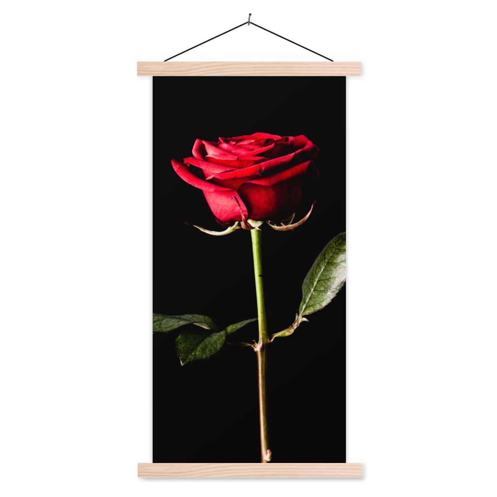MuchoWow Textilposter Eine rote Rose auf schwarzem Hintergrund 60x120 cm mit holzfarbenen Rahmen - Holz