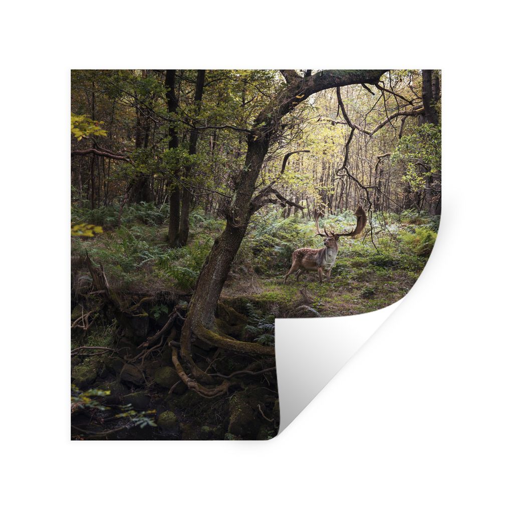 MuchoWow Wandtattoo Wandsticker Wandaufkleber Waldtier - Hirsch - Sonne 100x100 cm Selbstklebend und Repositionierbar - Wierderverwendbar - Selbs...