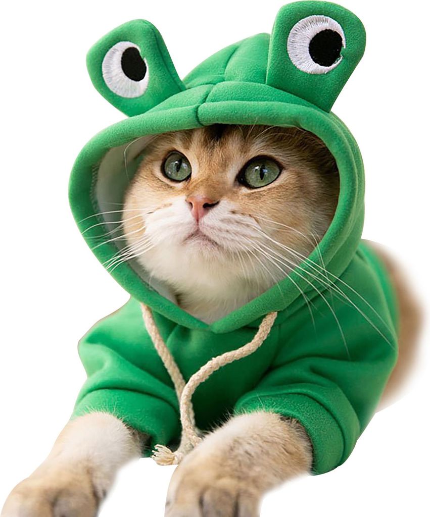 Katzen-Kapuzenpullover, stilvolles süßes Tier-Herbst-Winter-warmes, bezauberndes Kostüm für Katzen, Kätzchen, Welpen, großäugiger Frosch in ...
