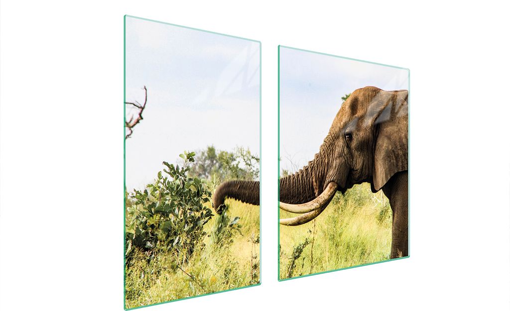 Glasplatte und Schneidebrett 100x52 Elefant