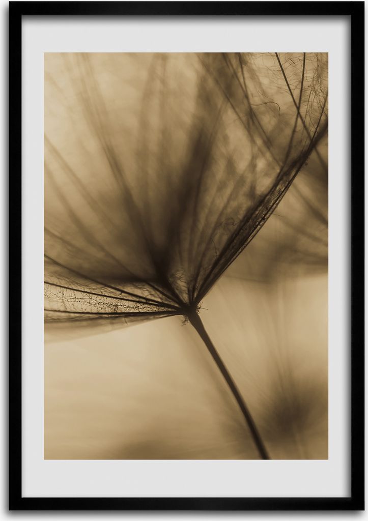Bild - Bilderrahmen - 50 cm x 70 cm - MDF - Rahmen - Wandkunst Der Löwenzahn wurde gesät