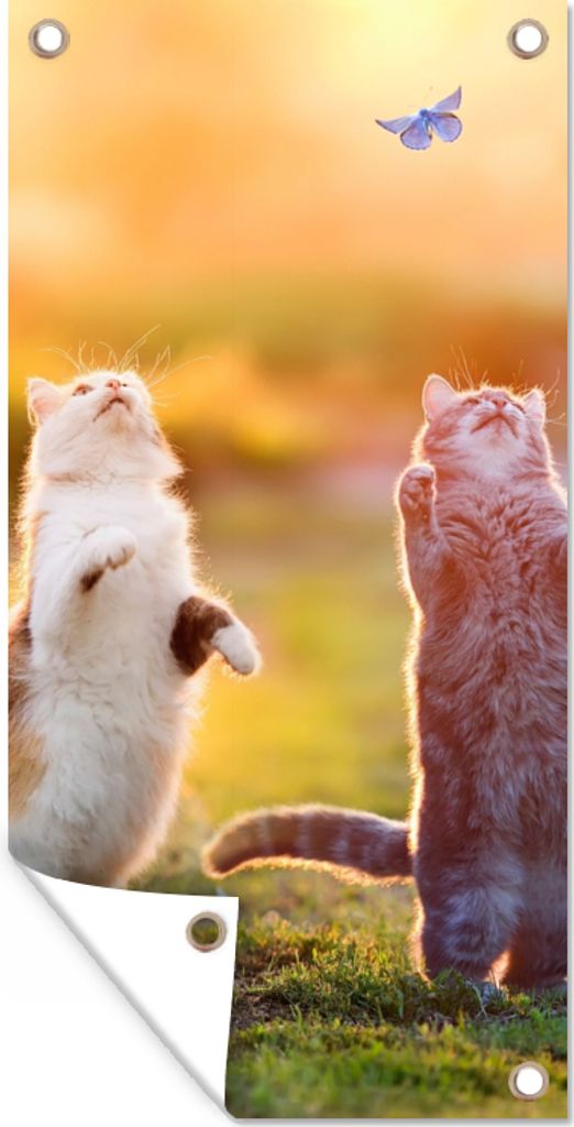 MuchoWow 40x80 cm Outdoor-Poster Gartendeko Sichtschutz Garten Poster für den Garten Katzen - Schmetterling - Sonnenuntergang - Gras - Natur