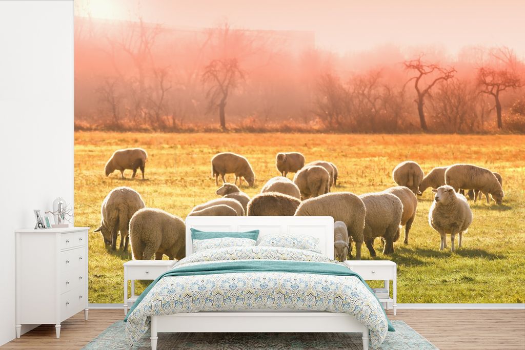 MuchoWow Fototapete für Wohnzimmer oder Schlafzimmer Wandtapete Vinyl Motivtapete Tiere - Schafe - Gras - 360x240 cm - Vinyl-Tapete