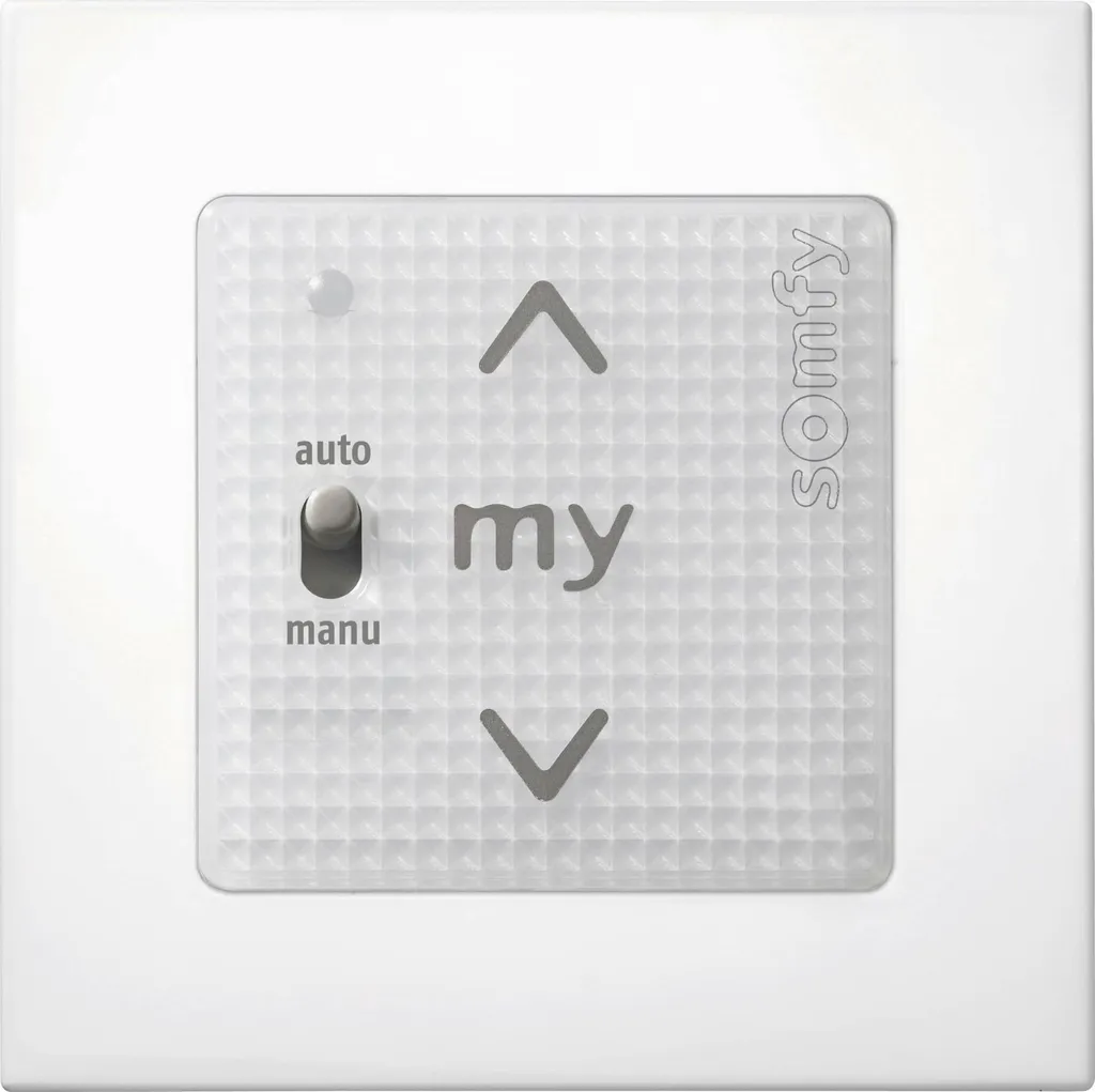 Somfy Smoove Uno A/M io 1811404 : Solution de Commande Murale Sans Fil