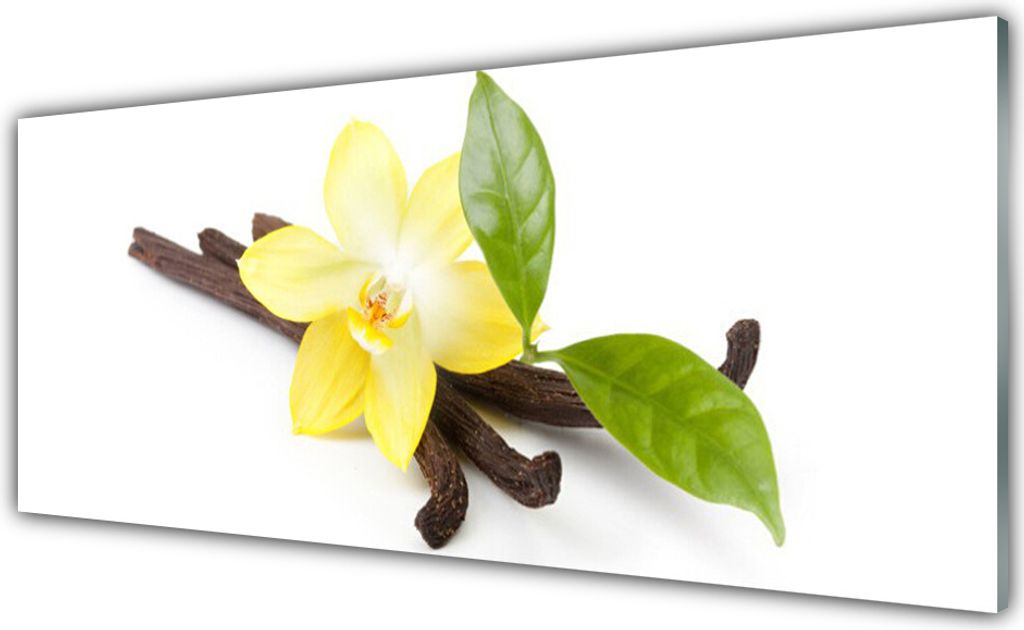 Küchenrückwand aus Glas 125x50cm Spritzschutz Vanille Blätter Pflanzen