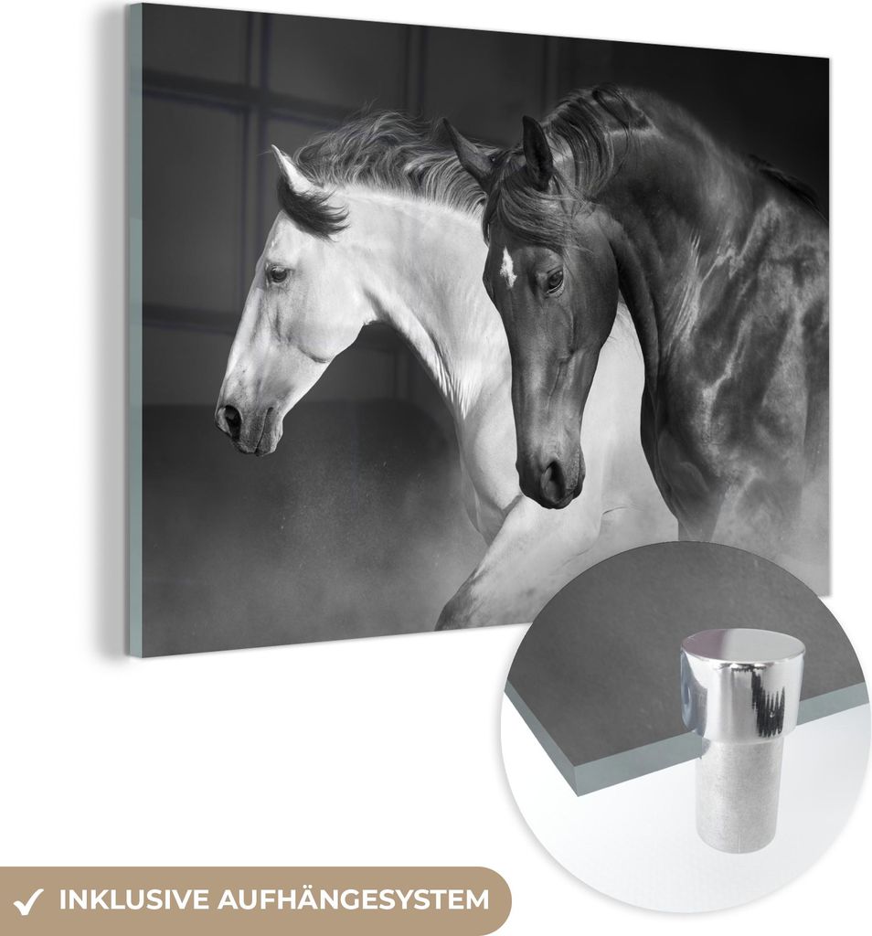 MuchoWow Glasbilder - Bilder auf Wandbild - Foto auf Glas Pferde - Tiere - Schwarz - Weiß - Porträt 90x60 cm Wanddekoration aus Glas - Acrylglasb...