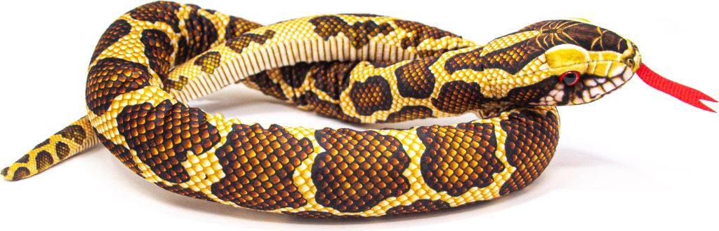 A stuffed toy snake coiled on a white background.