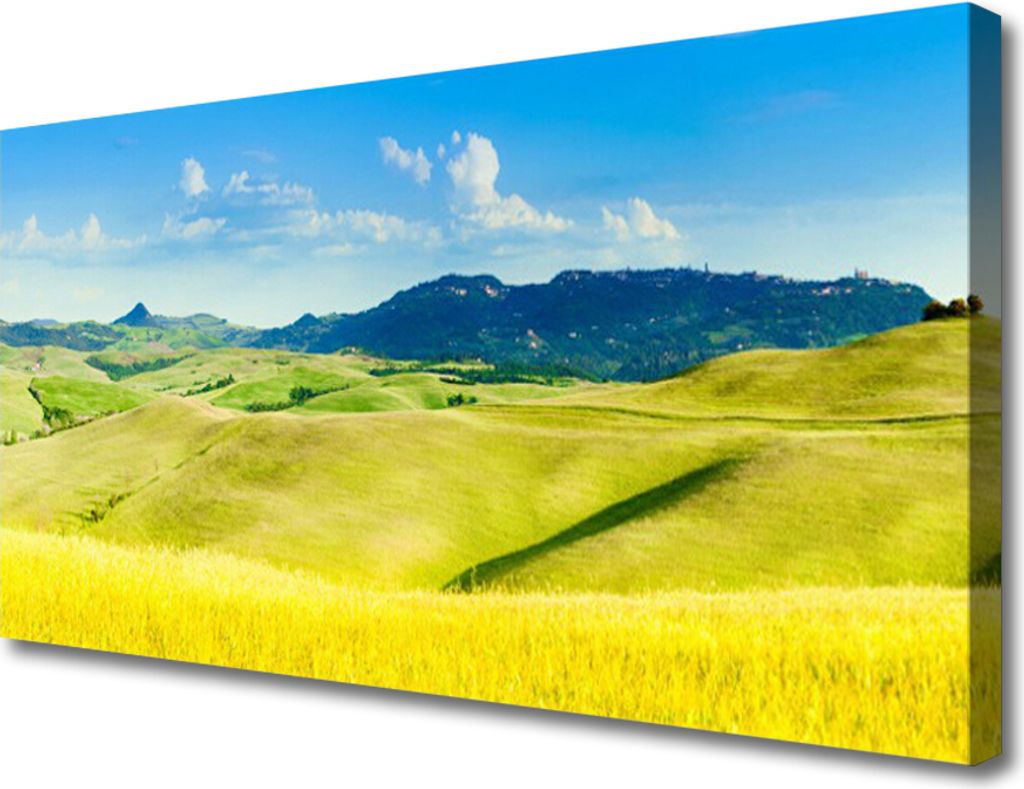 Tulup Leinwand-Bilder 100x50 Wandbild Canvas Kunstdruck Äcker Gebirge Landschaft