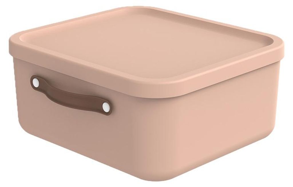 Rotho Aufbewahrungsbox 20 L Maloja - Kunststoffbox mit Produktbild 