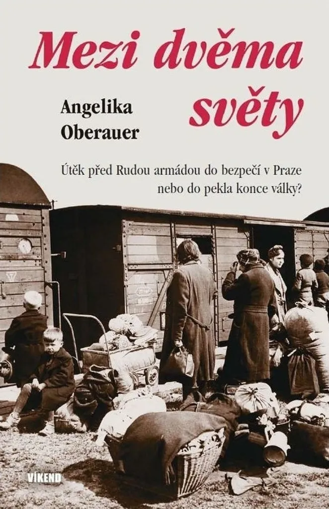 Mezi dvěma světy Angelika Oberauer - Idéal pour lecture détente et soir