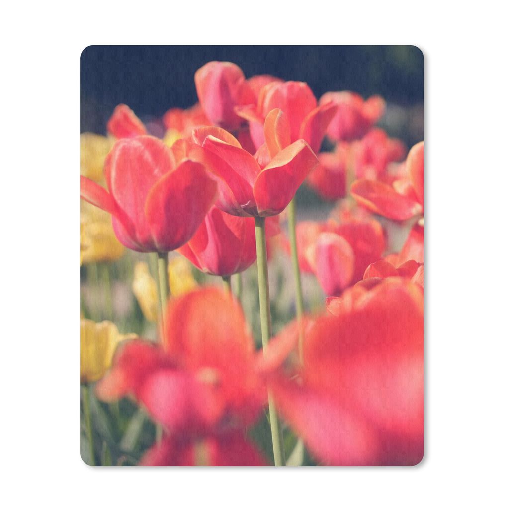 MuchoWow® Mauspad Mousepad Tulpen - Blumen - Natur 30x40 cm Produktbild 