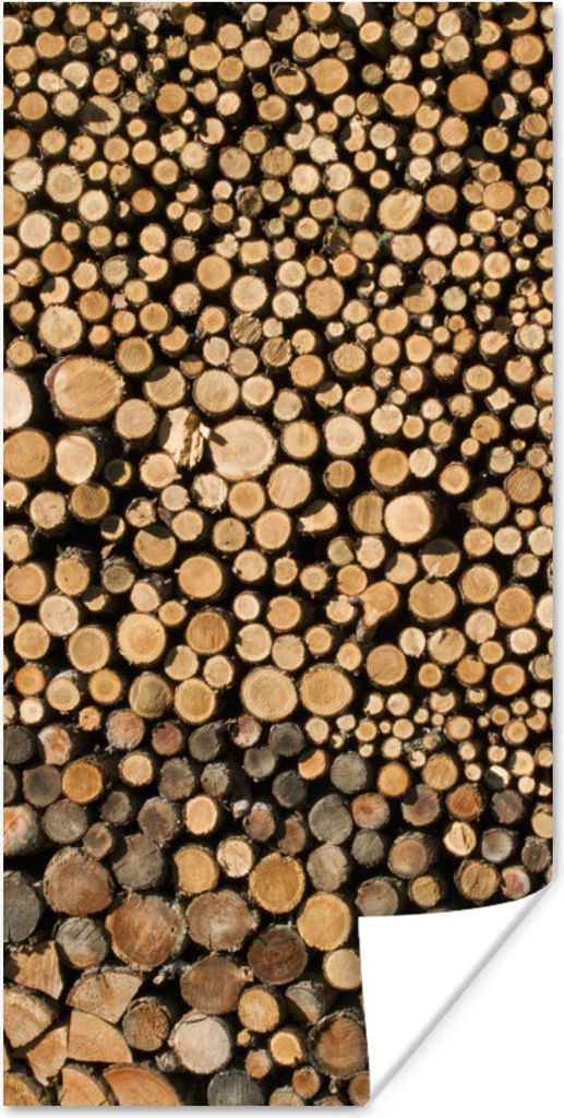 MuchoWow Poster Hunderte von Baumstämmen liegen auf und nebeneinander 60x120 cm - Wandschmuck