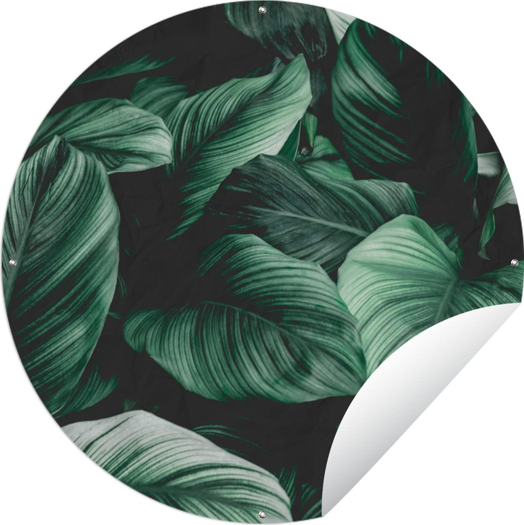 MuchoWow Gartenposter Outdoor-Poster Rund Dschungel - Blätter - Tropisch - Pflanzen - Natur Ø 120 cm Gartendeko Rundes Poster draußen
