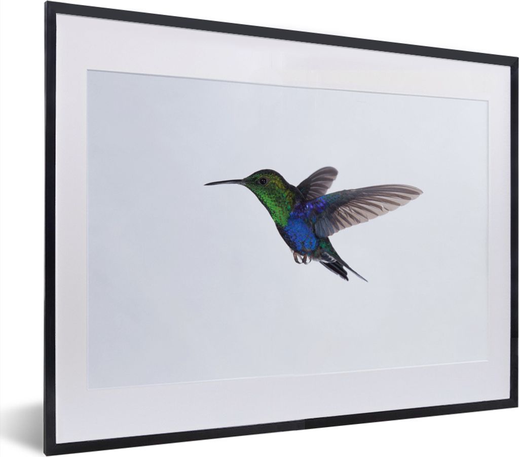 MuchoWow MuchoWow Gerahmtes Poster Vögel - Kolibri - Grün - Blau 40x30 cm - Poster mit zchwarzem Bilderrahmen - Bilderrahmen - Poster im Rahmen