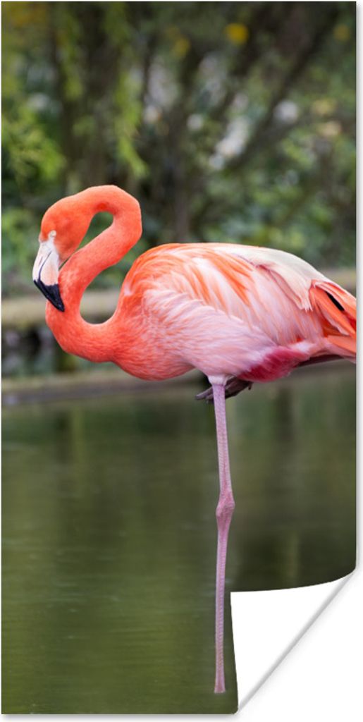 MuchoWow Poster Ein Flamingo steht auf einem Bein im Wasser 80x160 cm - Kinderzimmer