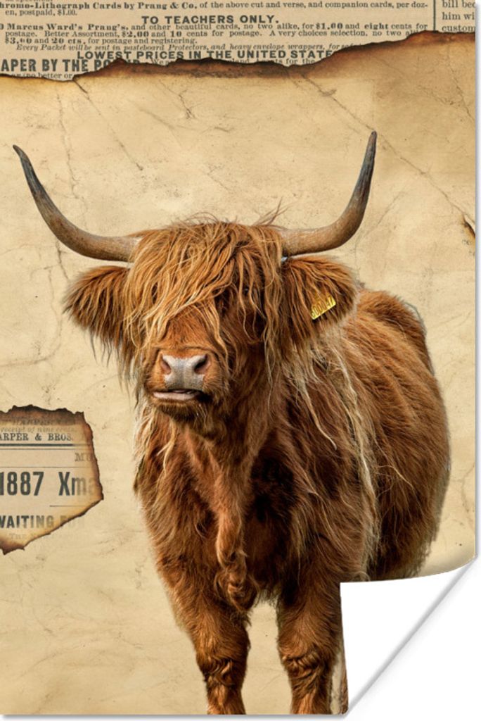 MuchoWow Poster Schottischer Highlander - Vintage - Pergament 120x180 cm - Kunstposter