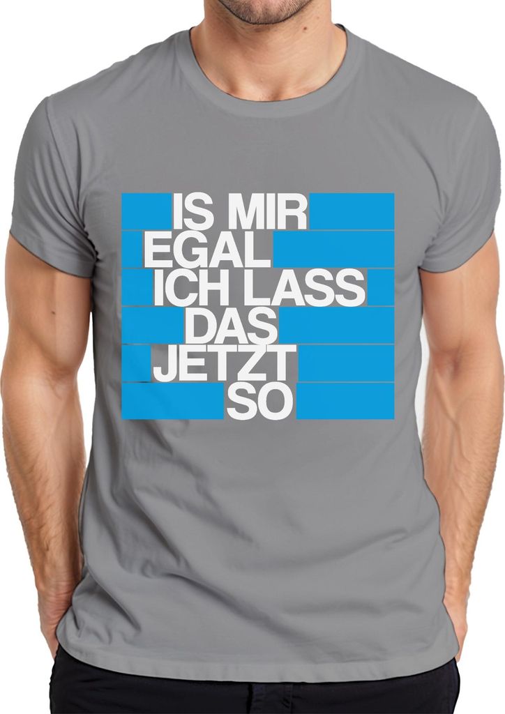 Ist mir egal ich lass das jetzt so Lustig Spruch Statement Frech Herren T-Shirt, Grau, L