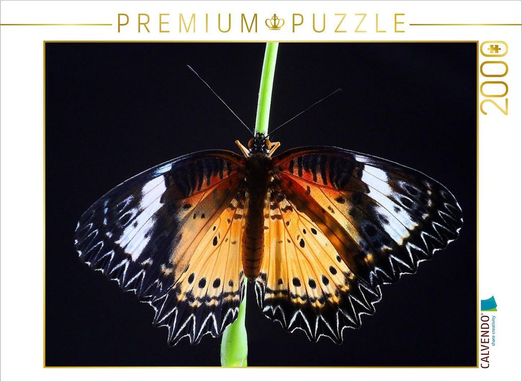 CALVENDO Puzzle Bortenfalter (Cethosia biblis) 2000 Teile Puzzle quer | 2000 Teile Lege-Größe 90x67cm Foto-Puzzle für glückliche Stunden