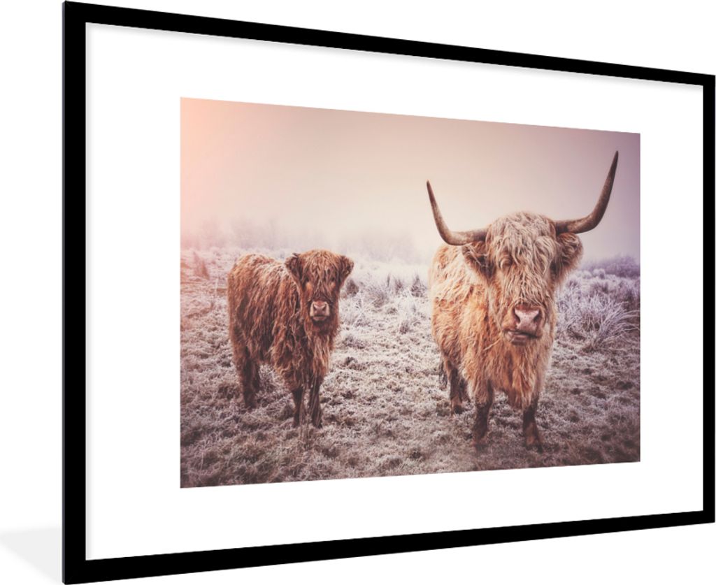 MuchoWow® Gerahmtes Poster Schottische Hochlandbewohner - Produktbild 