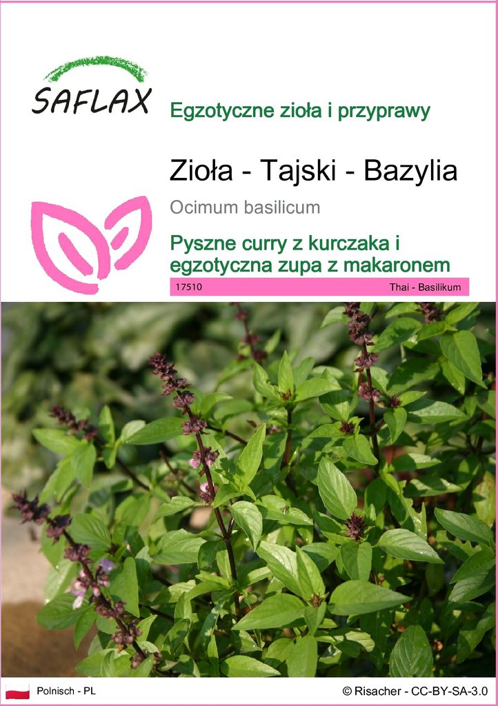 SAFLAX - Zioła - Tajski - Bazylia - 200 Nasiona - Ocimum Zdjęcie produktu 
