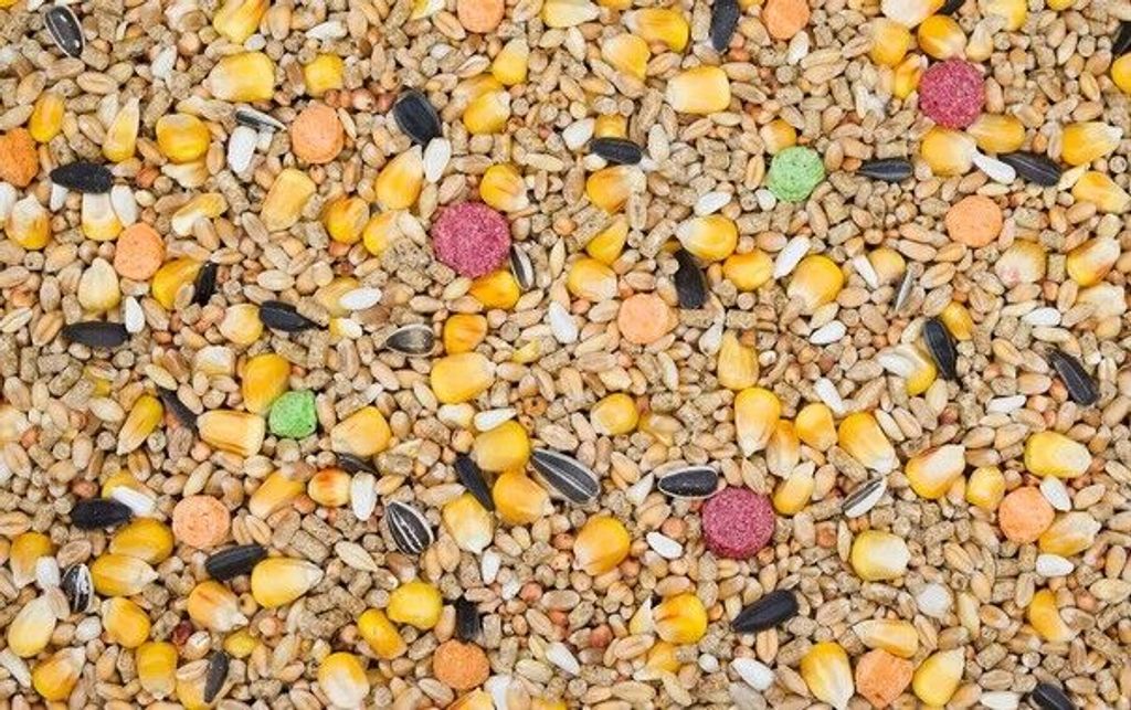 10 kg krmivo pre bažanty krmivo pre okrasnú hydinu krmivo Obrázok produktu 2