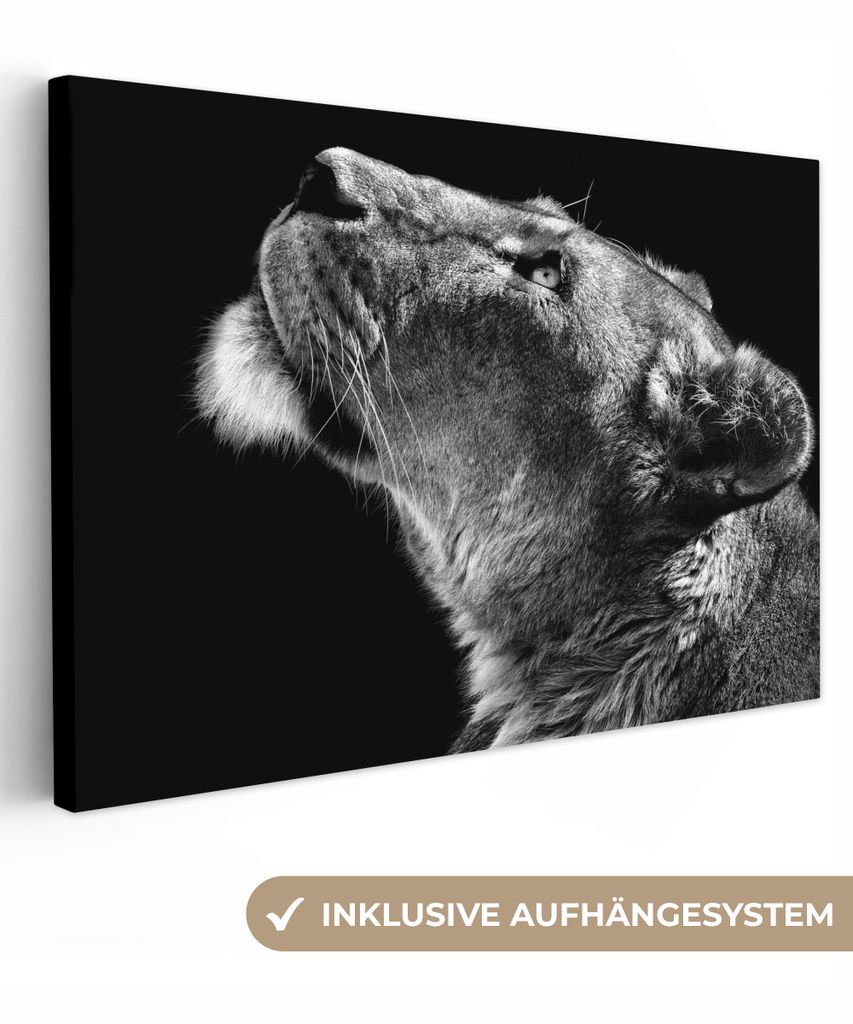 OneMillionCanvasses - Leinwandbilder - 150x100 cm, Löwe - Tiere - Schwarz und weiß, Wandbilder Kunstdruck Wanddekoration - Foto auf Leinwand - ...