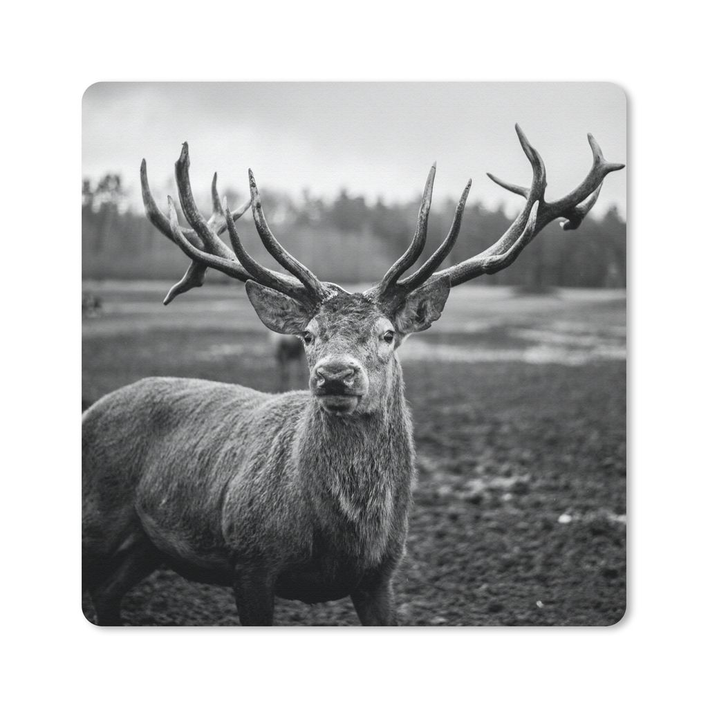 MuchoWow Mauspad Mousepad Tiere - Hirsch - Geweih - Schwarz und weiß - Natur 30x30 cm - Mousepads - Maus Mat - Pad - Mausunterlage - Gaming