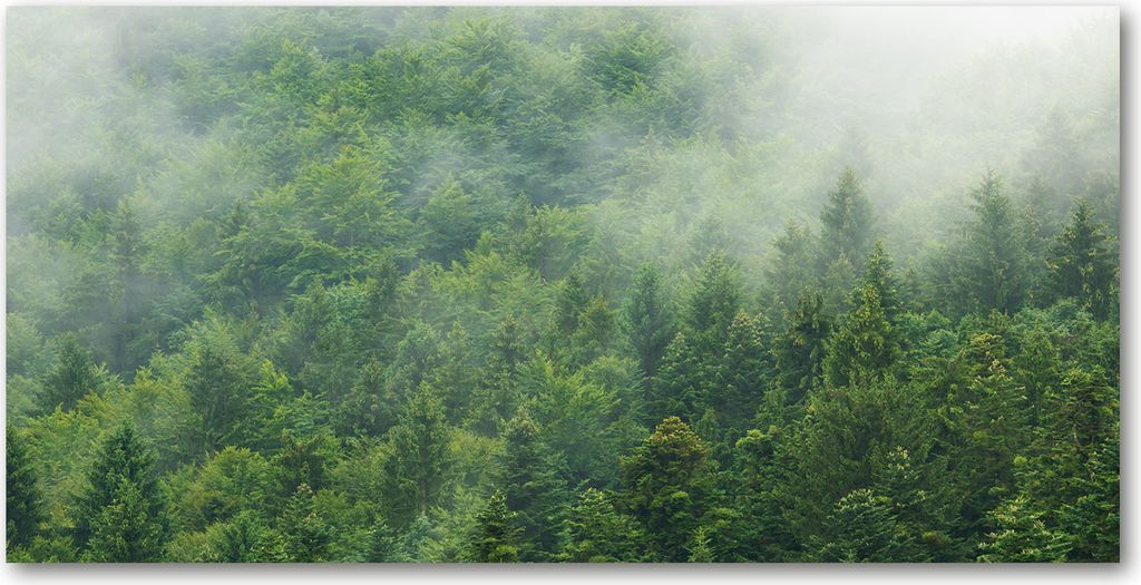 Tulup Glas-Bild -140x70- Wandkunst Dekorative Wand für Küche & Wohnzimmer - Blumen & Pflanzen - Mysteriöser Wald - Grün