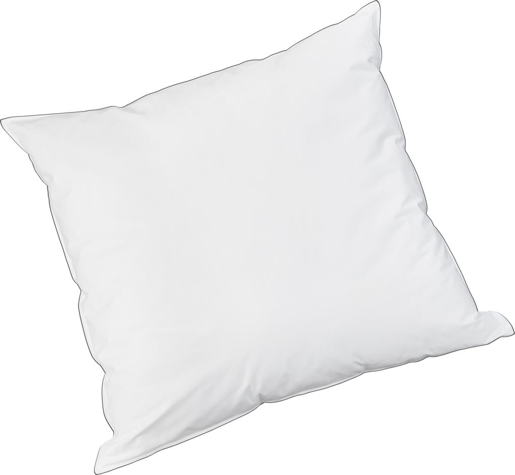 Badenia Trendline Daunenkissen Princess Größe 80x80 cm Kopfkissen