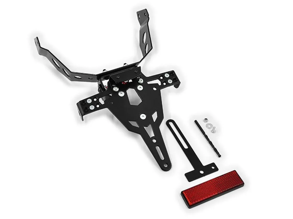 Test Portatarga Zieger Pro su Triumph Daytona 675 (2006-2012)