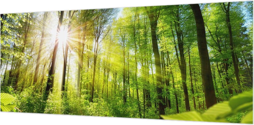 Wandtapete - Dekorative Tapete für Wohnzimmer- Tapetenfolie für Wanddekoration - 208x146 cm - Waldlicht