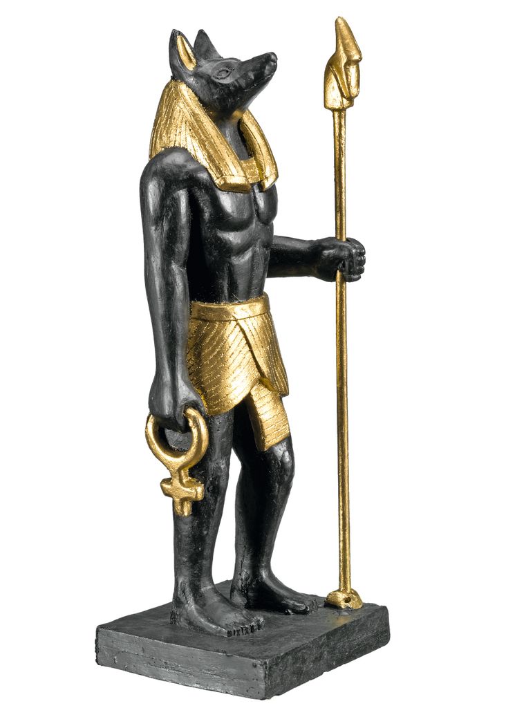 Nobby Anubis, Schwarz, Gold, Frischwasser, Salzwasser, 1 Produktbild 