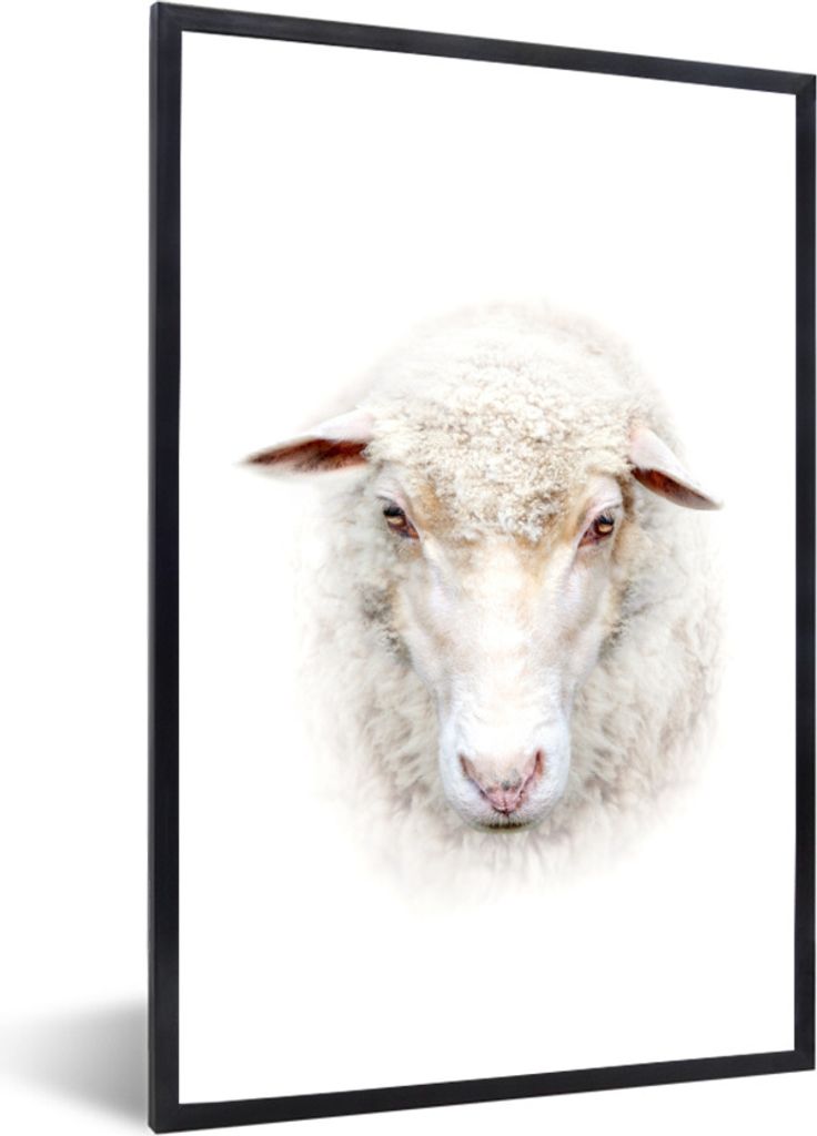 MuchoWow Gerahmtes Poster Schafe - Porträt - Wolle 40x60 cm - Poster mit Schwarzem Bilderrahmen Wandposter Rahmen Foto Bilder - Papierdruck - Wa...