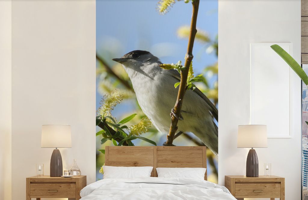 MuchoWow Fototapete für Wohnzimmer oder Schlafzimmer Wandtapete Vinyl Motivtapete Vogel im Baum - 120x240 cm - Hintergrundbild