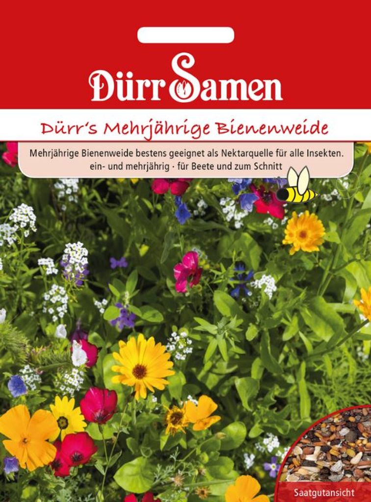 Dürr ́s Mehrjährige Bienenweide, Nektarquelle für alle Insekten, Inhalt: für ca. 5m²