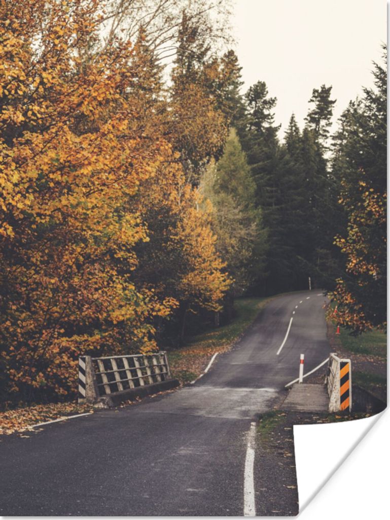 MuchoWow Poster Bäume - Straße - Herbst 60x80 cm - Schlafzimmer Dekoration