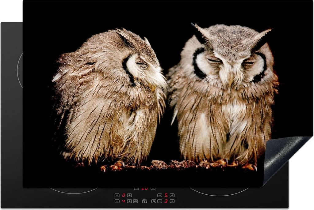 KitchenYeah Herdabdeckplatte Eule - Vogel - Schwarz , 80x52cm, Küche Deko, Glaskeramikfeld Herdabdeckung, Abdeckplatte fùr Kochfeld