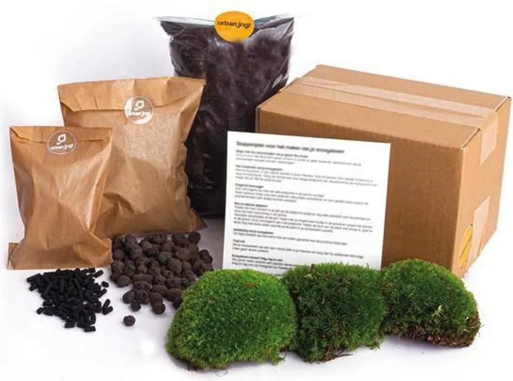 Kit Terrario DIY con Bulbi e Carbone Attivo | Giardino in Bottiglia