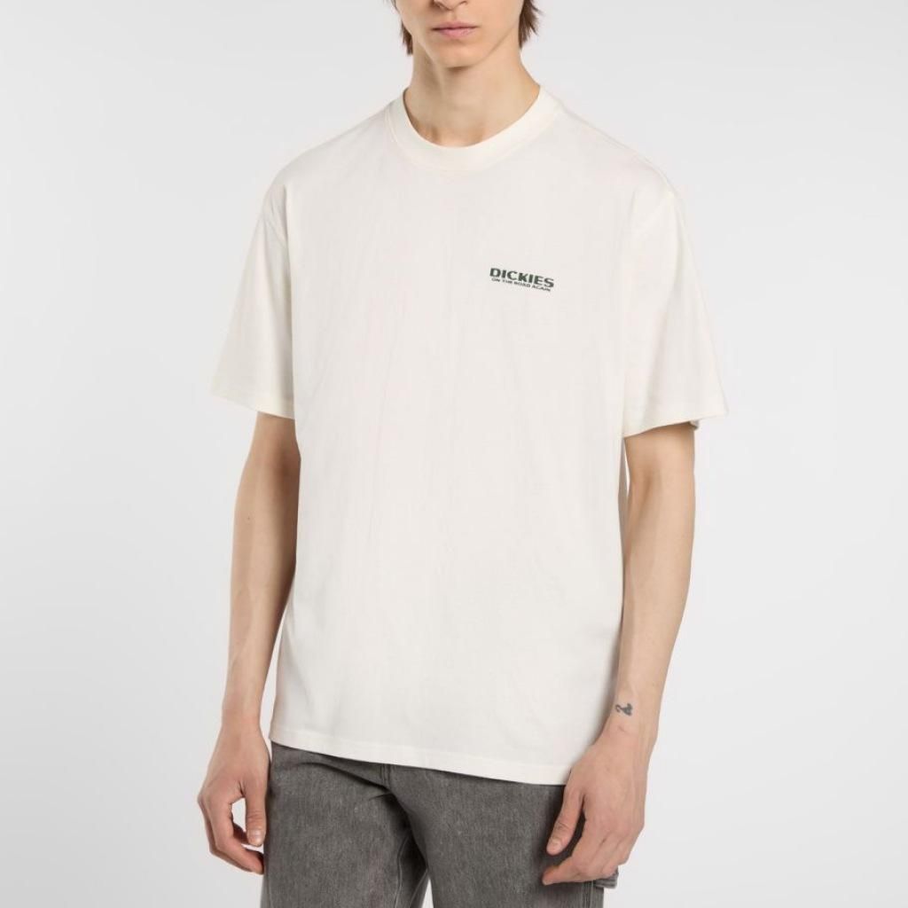 Dickies T-shirt DK0A87QIC481 in Beige color size large