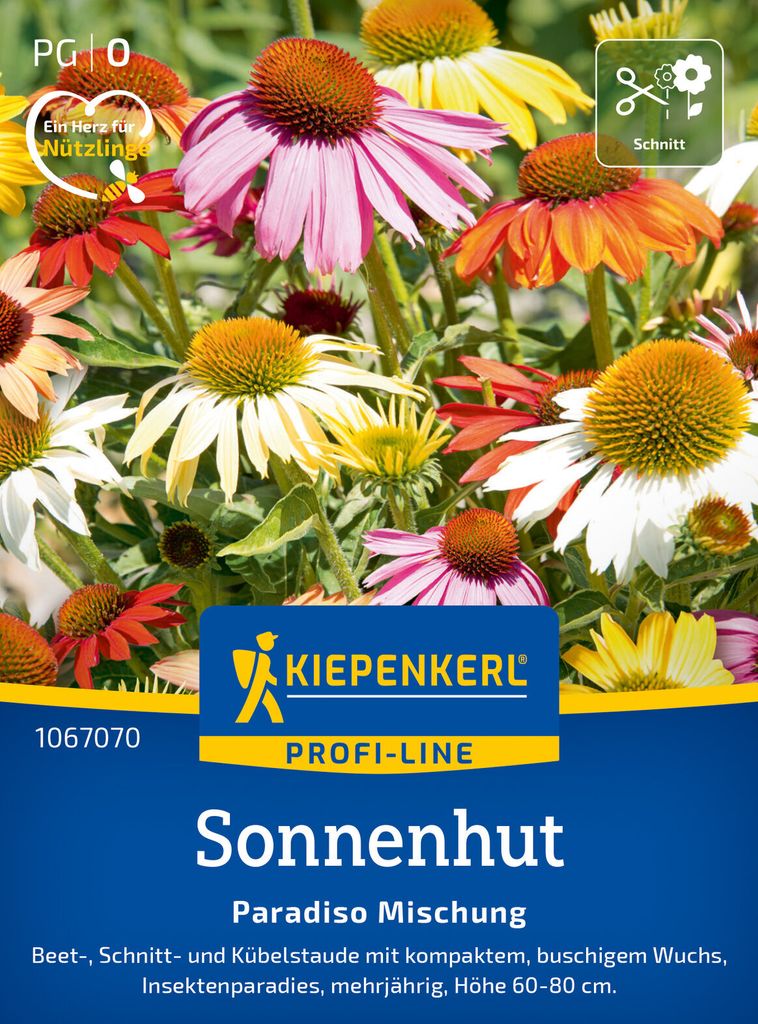 Kiepenkerl Sonnenhutsamen Paradiso Echinacea purpurea 10 Pflanzen