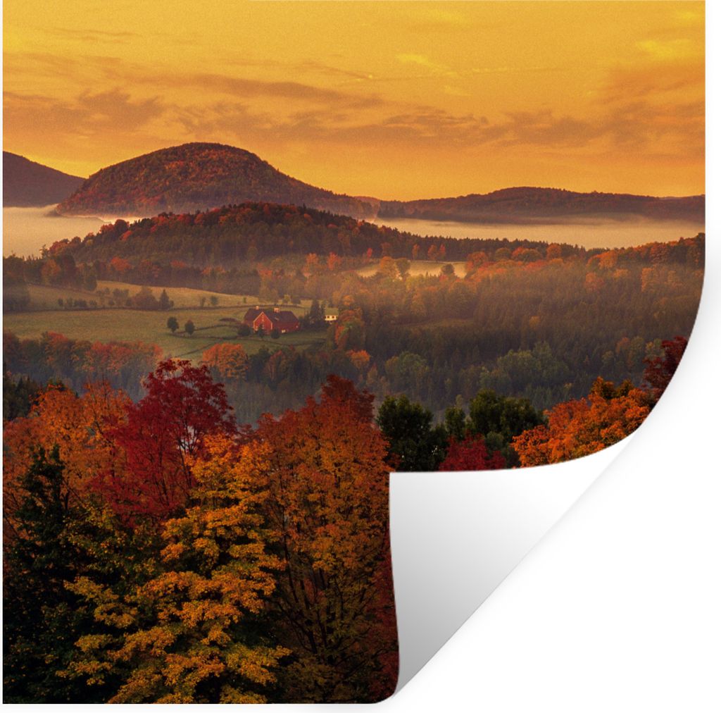 MuchoWow Wandtattoo Wandsticker Wandaufkleber Blick auf mehrere Ahornbäume und einen orangefarbenen Himmel 100x100 cm Selbstklebend und Repositi...