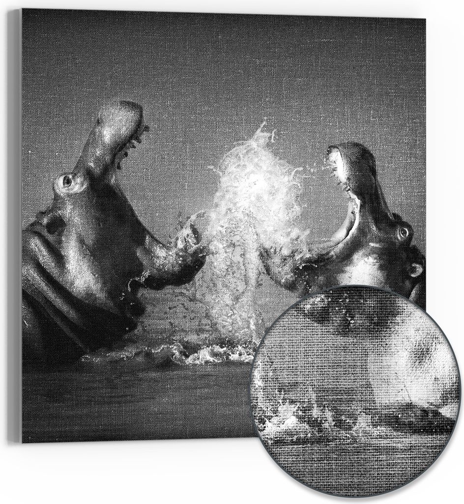 DEQORI Hybrid Leinwand Bild 50x50 cm 'Begegnung im Fluss' Wandbild Glas flach modern